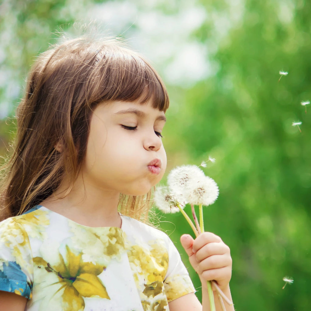 The Bugs That Bite Back (At Allergens): Why Probiotic Cleaning Is Kinder To Sensitive Skin